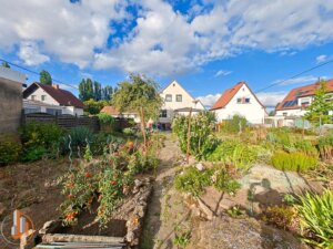 Garten mit Blick zum Haus