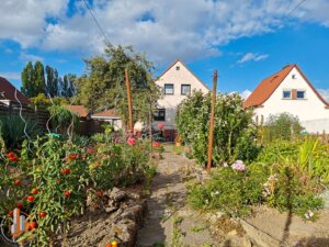 Garten mit Blick zum Haus