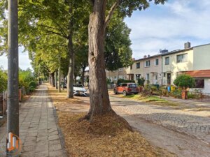 Blick in die Straße