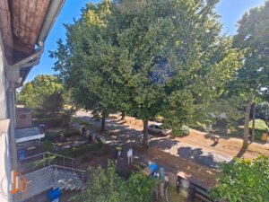 Blick aus dem Schlafzimmer