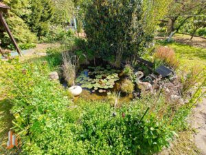 Gartenteich mit Fischen