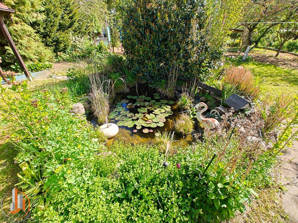 Gartenteich mit Fischen