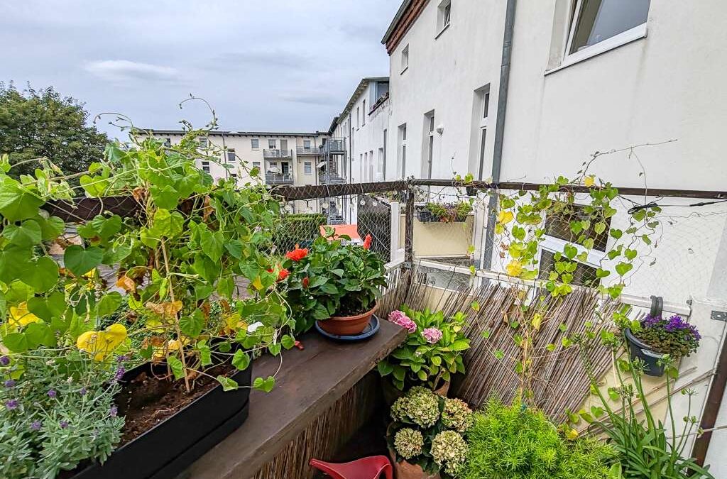 Perfekt für Familien mit Kinder und Home Office Bedarf – 6-Zimmer Wohnung in Magdeburg: